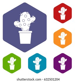 Cactus icons set hexagon isolated vector illustration