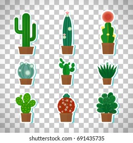 Cactus icons set isolated on transparent background, vector illustration