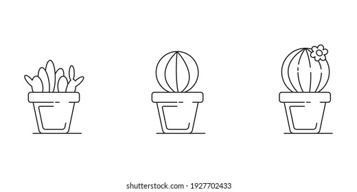 Cactus icons set. Linear drawing. Flowerpot. Vector illustration in flat style