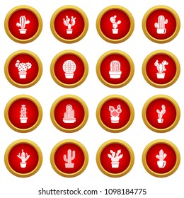Cactus icons set. Simple illustration of 16 cactus vector icons for web