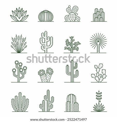 Cactus Icons. Vector Set of Desert Succulents for Design