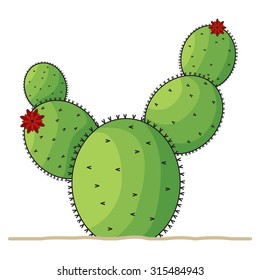 Cactus Illustration