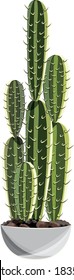 Ilustración de cactus para la composición y el arte.