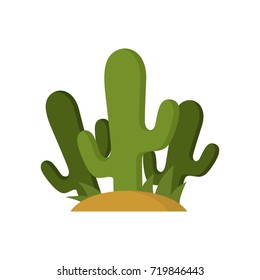 Cactus illustration design template