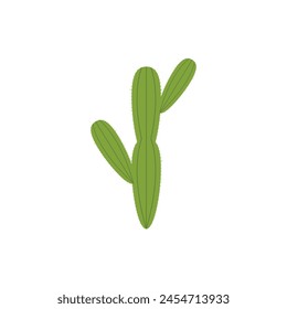 Cactus illustration flat design template