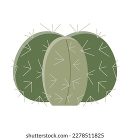 Cactus illustration in a flat style on a white background. Home plants cactus illustration.