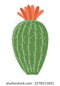 Cactus illustration in a flat style on a white background. Home plants cactus illustration.