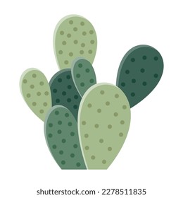 Cactus illustration in a flat style on a white background. Home plants cactus illustration.