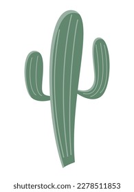 Cactus illustration in a flat style on a white background. Home plants cactus illustration.