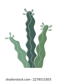 Cactus illustration in a flat style on a white background. Home plants cactus illustration.