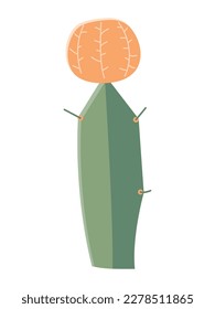 Cactus illustration in a flat style on a white background. Home plants cactus illustration.