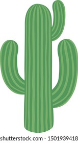 Cactus illustration.
Illustration of houseplant.