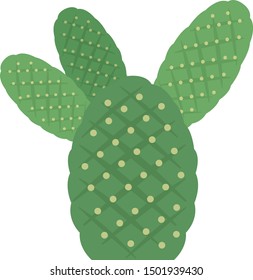 Cactus illustration.
Illustration of houseplant.