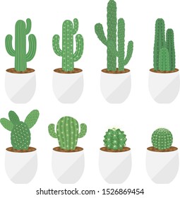 Cactus illustration.
Illustration of houseplant.