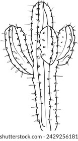 cactus illustration, cactus line drawings. cactus printable coloring pages, cactus coloring pages for adults, cactuses and flower coloring pges, cactuses planet drawings