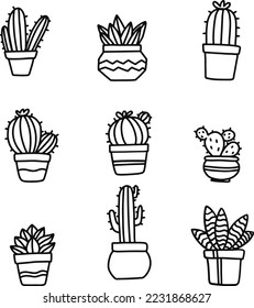 cactus illustration and line vectors