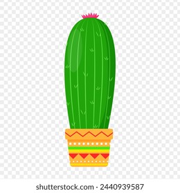 Cactus illustration on transparent background