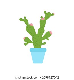 Cactus illustration on the white background. Vector illustration