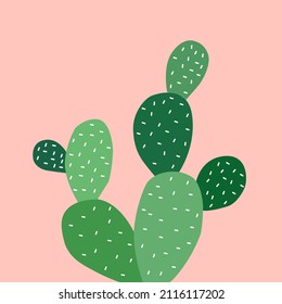 cactus illustration with pink background and flat design