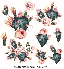 Cactus illustration with pink flowers. Realistic botanical background