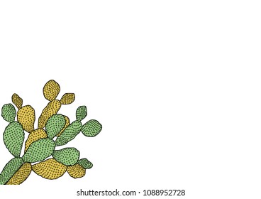 cactus illustration placed in the corner of the frame