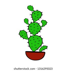 cactus illustration succulent