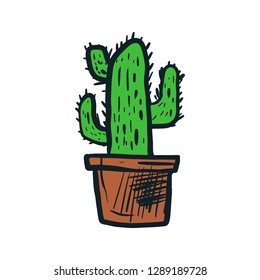 cactus illustration vector hand drawn