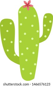 Cactus, illustration, vector on white background.