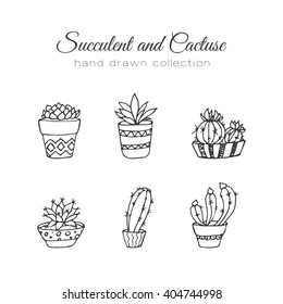 Cactus illustration. Vector succulent and cacti hand drawn set. In door plants in pots. Exotic mexican flora design.