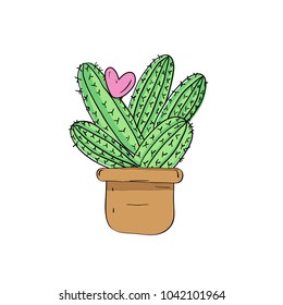 Cactus illustration in a white background
