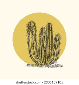 Cactus illustration wild west desert vintage design.