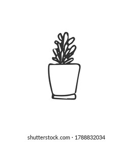 Cactus illustration for your design. Hand drawn plants