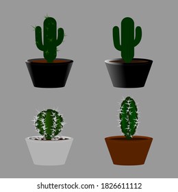 cactus illustrations are suitable to add to your designs