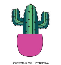 Cactus inside pot design, Plant desert nature tropical summer mexico and western theme Vector illustration