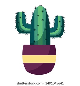 Cactus inside pot design, Plant desert nature tropical summer mexico and western theme Vector illustration