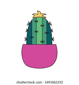 Cactus inside pot design, Plant desert nature tropical summer mexico and western theme Vector illustration