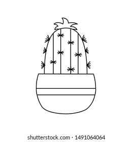 Cactus inside pot design, Plant desert nature tropical summer mexico and western theme Vector illustration