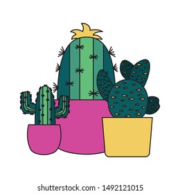 Cactus inside pots design, Plant desert nature tropical summer mexico and western theme Vector illustration