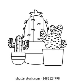 Cactus inside pots design, Plant desert nature tropical summer mexico and western theme Vector illustration