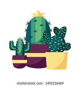 Cactus inside pots design, Plant desert nature tropical summer mexico and western theme Vector illustration