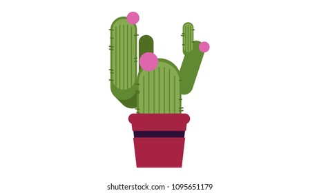 Cactus insolated vector illustration