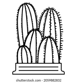 Cactus for the interior. A home plant for creating a microclimate. Vector icon, outline, isolated, 48x48 pixel.