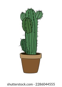 Cactus interior house plant in flower pot vector.