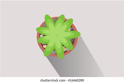 cactus isolated design 