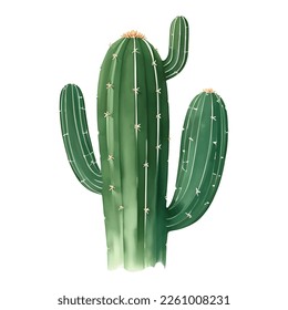 Cactus Isolated Detailed Hand Drawn Painting Illustration