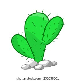 cactus isolated illustration on white background