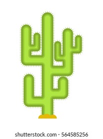 Cactus isolated. Large peyote from desert on white background.