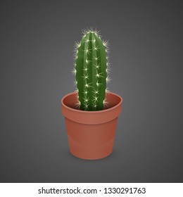 Cactus isolated on dark background. Realistic Cactus in colorful ceramic pot. Vector EPS 10 illustration