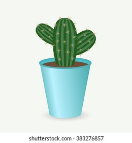 cactus isolated on a light background