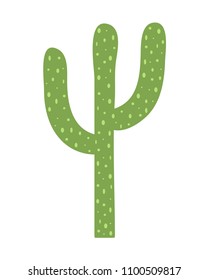 Cactus. Isolated on white background. Vector illustration.